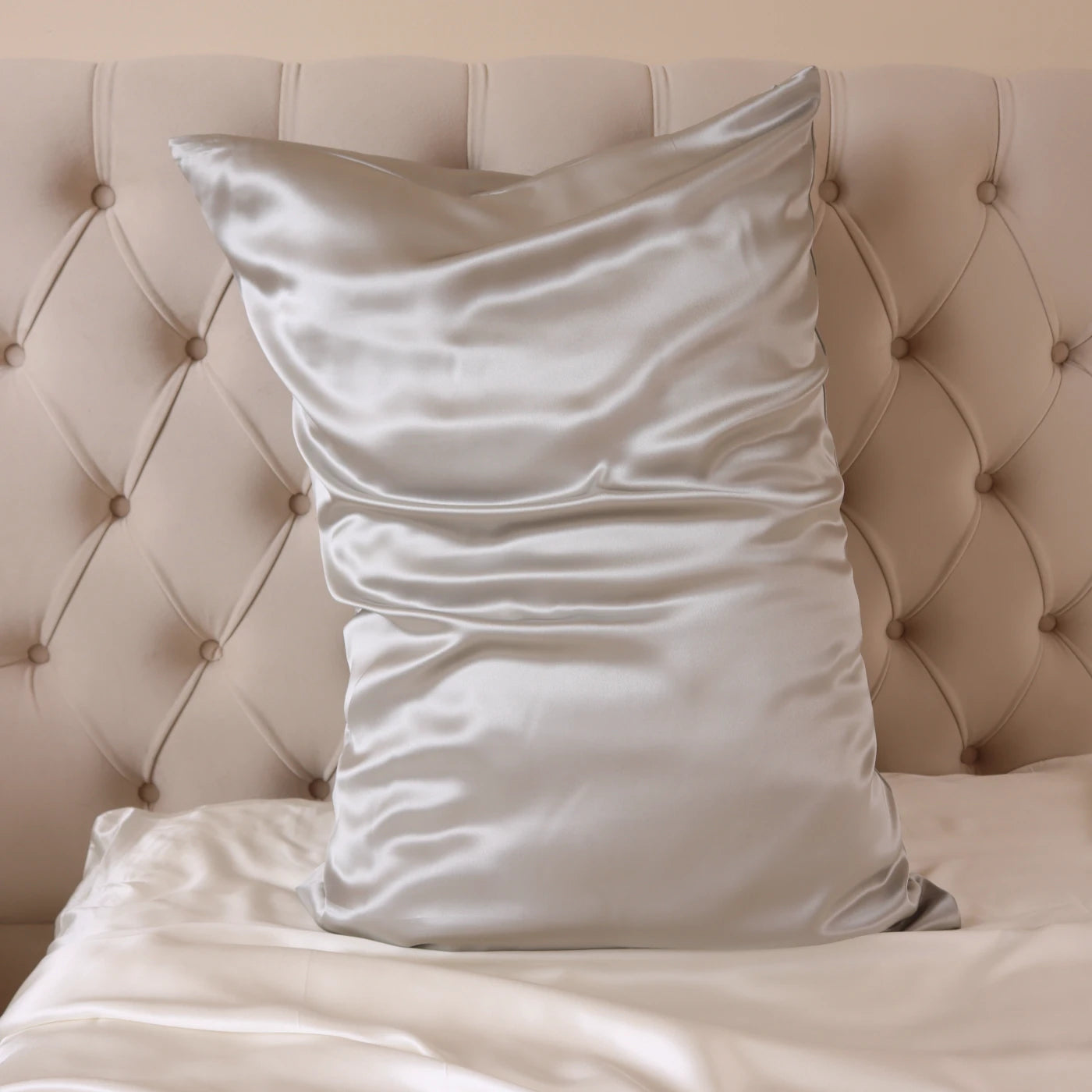 100% Real Mulberry Silk Pillowcase With Zipper 22 Momme 6A Grade Highest quality luxury silk pillows UK USA ES CA queen king standard light grey silver