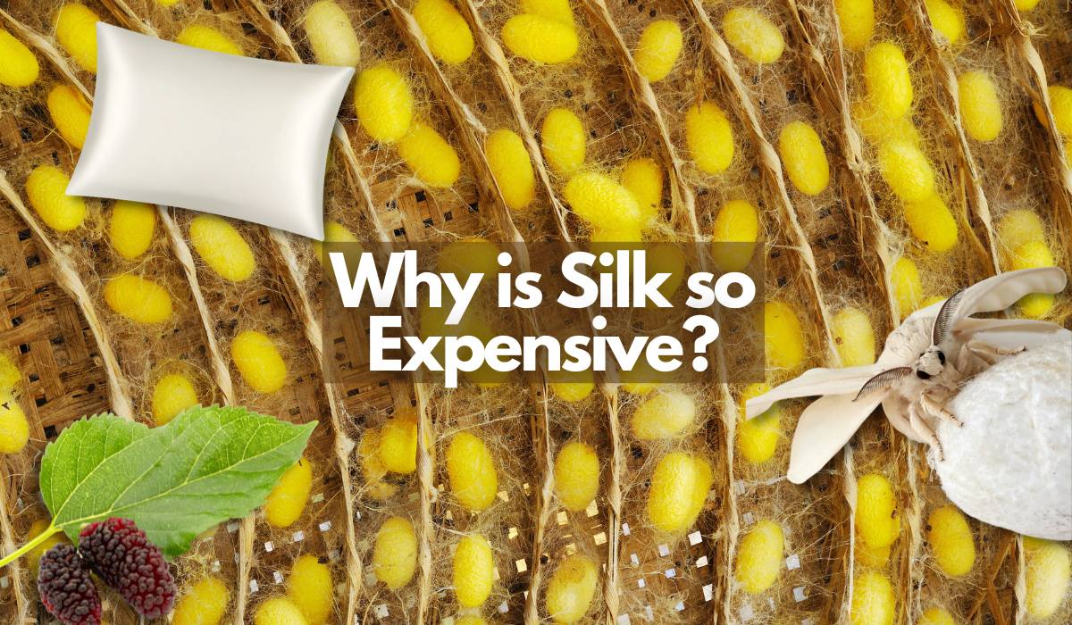Why is Silk so Expensive? The History, Origins, and Production  Process of Silk