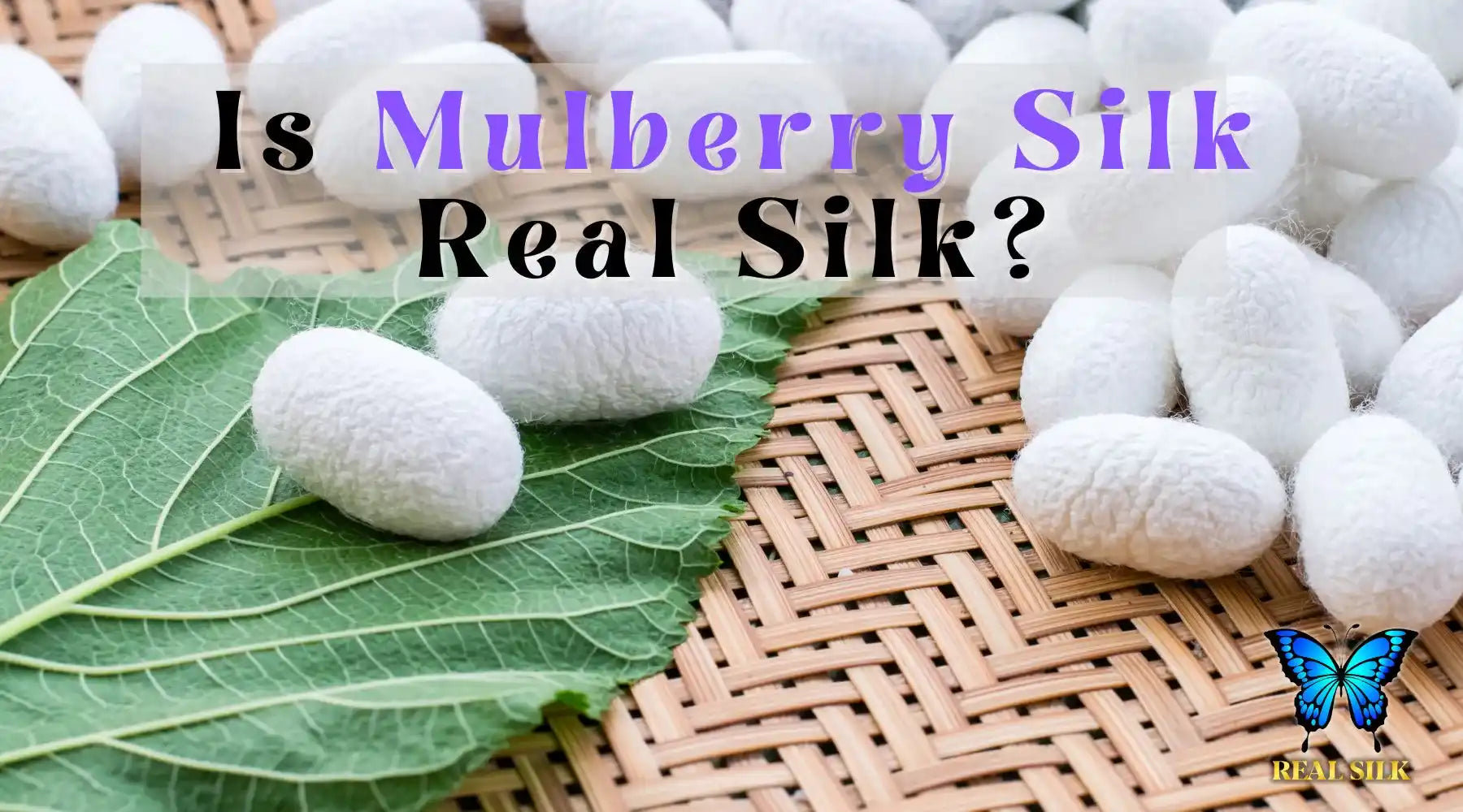 Is Mulberry Silk Real Silk? Unraveling the Truth