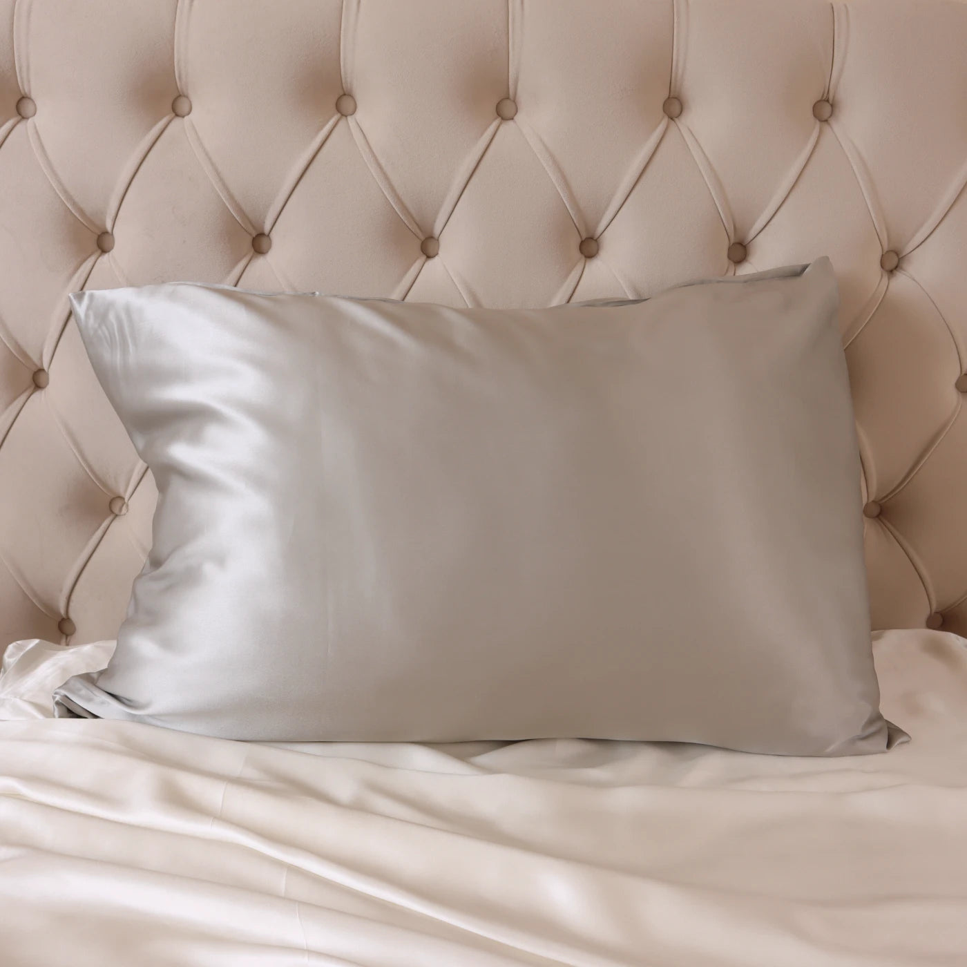 100% Real Mulberry Silk Pillowcase With Zipper 22 Momme 6A Grade Highest quality luxury silk pillows UK USA ES CA queen king standard light grey silver