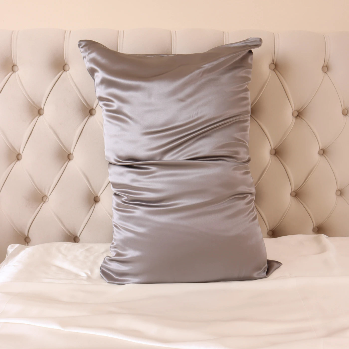 100% Real Mulberry Silk Pillowcase With Zipper 22 Momme 6A Grade Highest quality luxury silk pillows UK USA ES CA queen king standard light dark grey silver